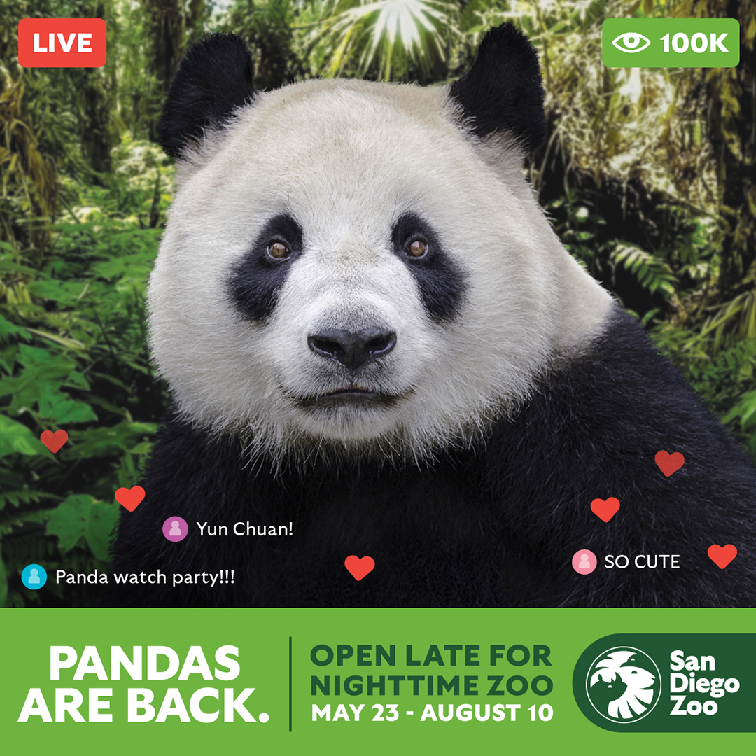 Win tickets to San Diego Zoo